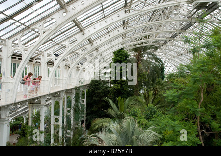 Im Inneren des gemäßigten Hauses bei Kew Gardens, London, England, UK Stockfoto