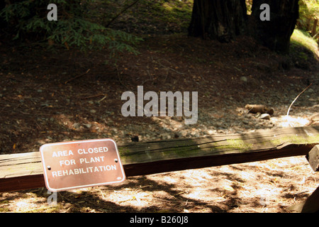 "Bereich geschlossen für Pflanze Rehabilitation" Trail Marker in Armstrong Redwood Grove, Guerneville, CA. Stockfoto