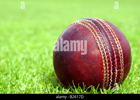 Cricketball mit textfreiraum auf der linken Seite Stockfoto