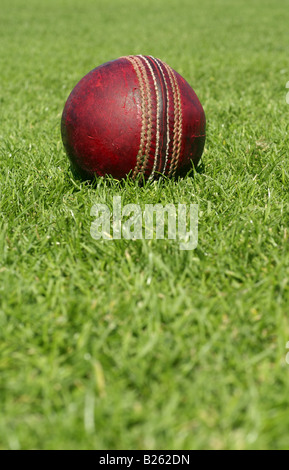 Cricketball mit textfreiraum unten Stockfoto