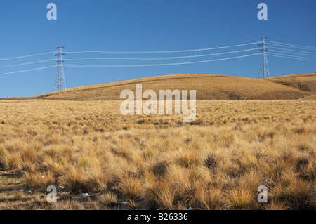 Macht Pylonen Lammermoor Bereich alte Dunstan Trail Central Otago Südinsel Neuseeland Stockfoto