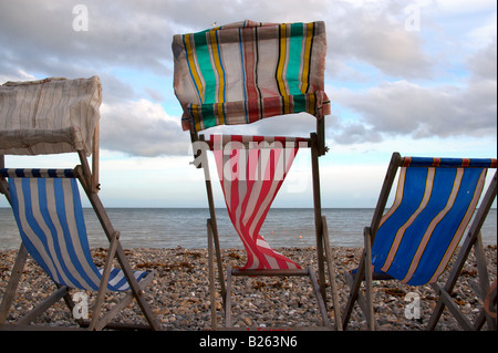 Liegestühle am Strand in Bier, Devon Stockfoto