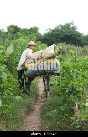 Vietnamesische Landwirt mit seinem stark belastete Fahrrad Wandern Stockfoto