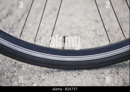 Nahaufnahme von Fahrrad Luftventil und Reifen Stockfoto