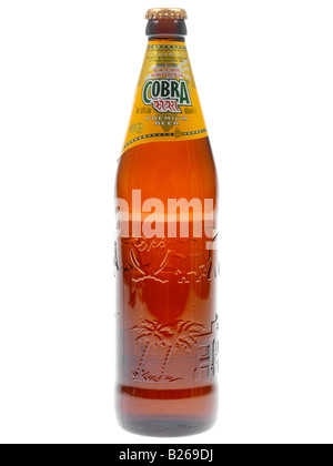 Cobra Bierflasche Stockfoto