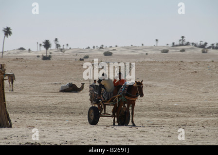 Leben in der Wüste, Pferd ziehen wagen, Zaafrane, Sahara, Tunesien, Afrika Stockfoto