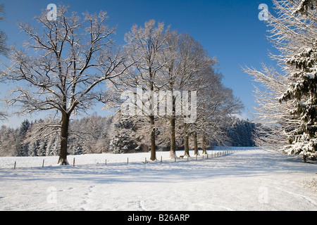 Schneebedeckte Winterlandscape in Oberbayern, Deutschland Stockfoto