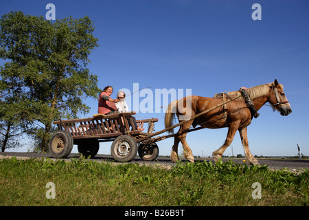 Frauen auf einem Pferdewagen in der Umgebung von Vilnius, Litauen Stockfoto