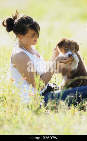 Australian Shepherd (Canis Lupus Familiaris). Junge Frau mit Welpen auf einer blühenden Wiese spielen Stockfoto