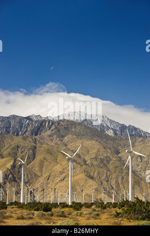 Windpark vor Bergen, Palm Springs, California, Vereinigte Staaten von Amerika Stockfoto