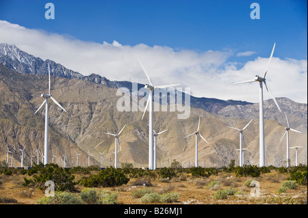 Windpark vor Bergen, Palm Springs, California, Vereinigte Staaten von Amerika Stockfoto