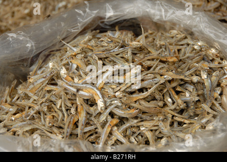 Getrockneter Fisch zum Verkauf auf dem Markt, schwimmenden muslimischen Dorf, Insel Koh Panyi, Ao Phang Nga, Phuket, Thailand Stockfoto