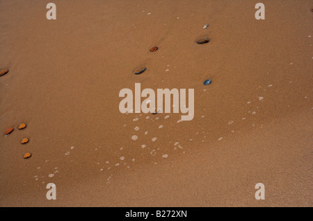 Kiesel und Steine am Strand Stockfoto