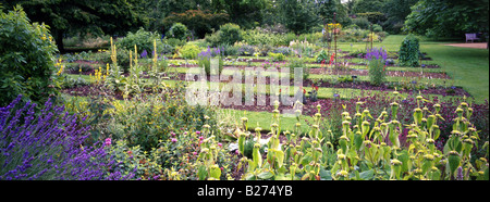 Panoramablick von Blumenbeeten in der University of Oxford Botanic Garden Stockfoto