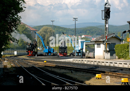 Beladung Kohle auf Dampflokomotiven in Wernigerode mit Mount Brocken Gipfel im Hintergrund, Harz, Deutschland. Stockfoto