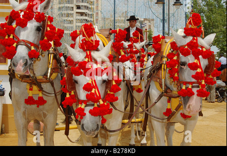 Feria de Caballo de Jerez / Horse Fair in Jerez De La Frontera Stockfoto