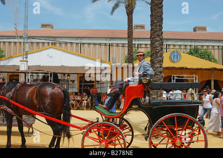 Feria de Caballo de Jerez / Horse Fair in Jerez De La Frontera Stockfoto