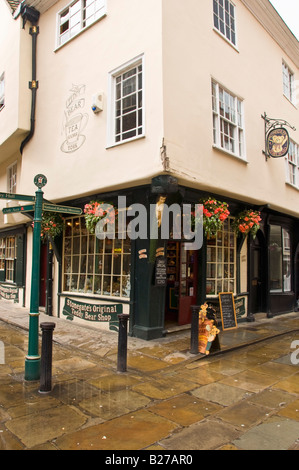 Teddybär Shop und Tee Zimmer in Stonegate, York Stockfoto