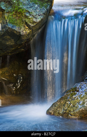 Wasserfall am Bach entlang Redwood Naturlehrpfad Rogue River-Siskiyou National Forest Oregon Stockfoto