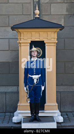 Schwedische Königliche berittene Garde Stockfoto