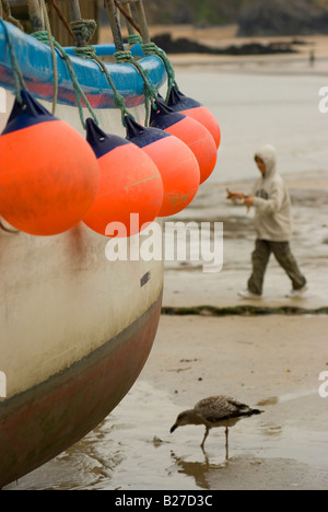 Eine Stillleben-Studie von Fischerbooten und Bojen erschossen in den Fischerhafen von Newquay in Cornwall mit einem jungen und einer Möwe Stockfoto