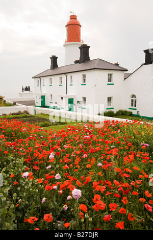 UK-Tyne und tragen Sunderland Mohn wächst im Garten Souter Leuchtturm Welten zuerst, elektrisches Licht zu verwenden Stockfoto