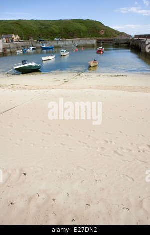 Cruden Bay Harbour, Aberdeenshire, Schottland, Vereinigtes Königreich Stockfoto
