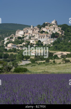 Simiane-la-Rotonde Bergdorf mit Lavendelfeld im Vordergrund Provence, Frankreich. Stockfoto