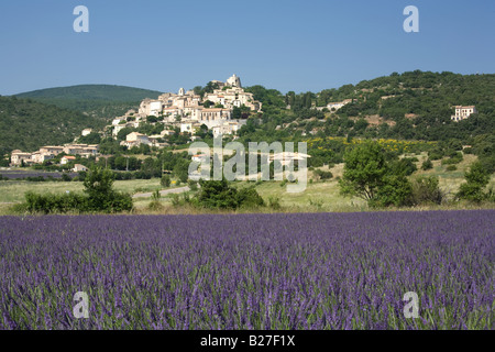 Simiane-la-Rotonde, ein Bergdorf in den Alpes-de-Haute-Provence Bezirk von Frankreich, zeigt Lavendelfelder im Vordergrund. Stockfoto