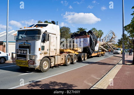 Ein Boab Baum reist durch Subiaco auf dem Weg zum Kings Park in Perth nach seiner 3200 km lange Reise aus Warmun in der Kimberley-Region. Stockfoto