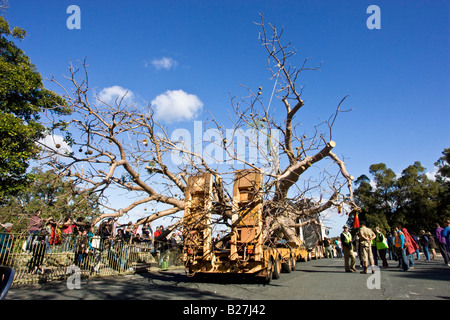 Ein 750 Jahre Alter Boab Baum mit einem Gewicht von 36 Tonnen kommt im Königs Park in Perth nach seiner 3200 km lange Reise aus Warmun in der Kimberley-Region. Stockfoto