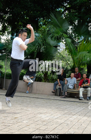 Kung Fu-Ausstellung, Kowloon Park, Kowloon, Hong Kong, china Stockfoto