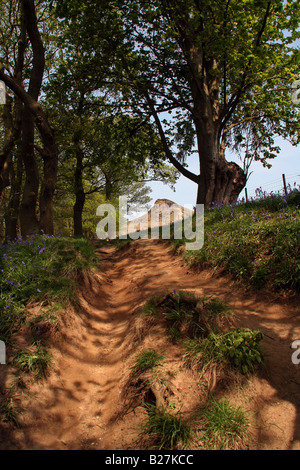 Pfad durch Wald in Richtung Nähe Topping, North Yorkshire Stockfoto