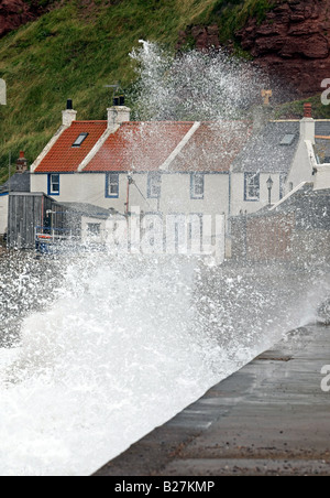 Die berühmte Küstenstadt Dorf von Pennan, Aberdeenshire, Schottland, UK, abgebildet bei stürmischem Wetter durch große Wellen geschlagen. Stockfoto