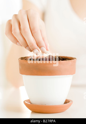 Frau, die Aussaat im Topf Stockfoto
