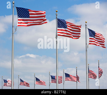 Niedrigen Winkel Ansicht der amerikanischen Flaggen, Washington DC, Vereinigte Staaten Stockfoto