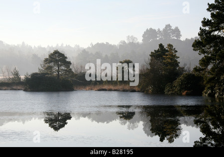 Stille Wasser Stockfoto