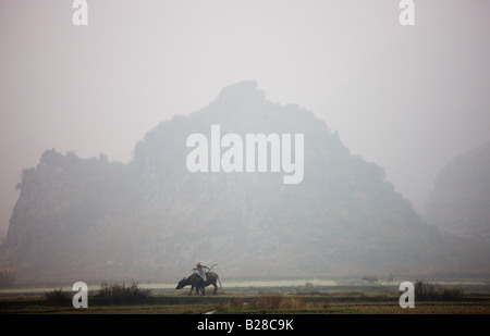 Landwirt nutzt einen Büffel Pflug durch ein Getreide-Feld in der Nähe von Fuli Xingping China ziehen Stockfoto