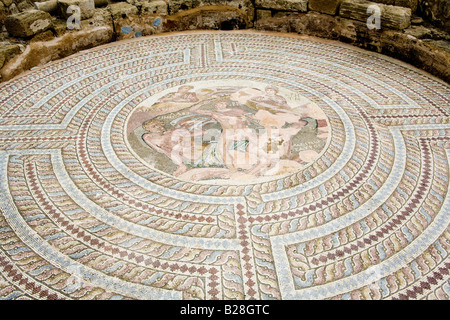 Mosaik im Haus des Theseus, Pafos Mosaiken, Nea Paphos, Zypern Stockfoto