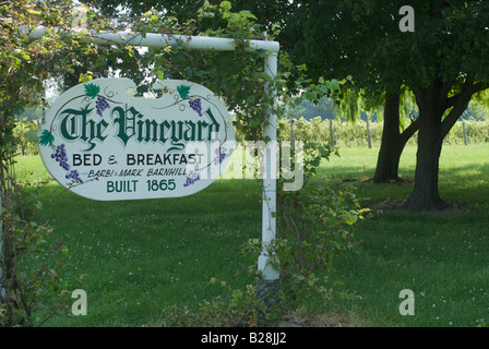 Weinberg in Put in Bay Ohio Stockfoto