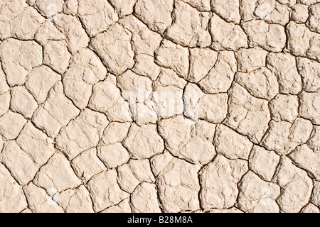 Ausgetrockneten Boden im Deadvlei im Namib-Naukluft-Nationalpark, Namibia Stockfoto