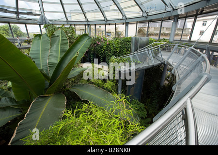 UK-Tyne und tragen Sunderland Mowbray Park Wintergärten im Gewächshaus von oberen Gang Stockfoto