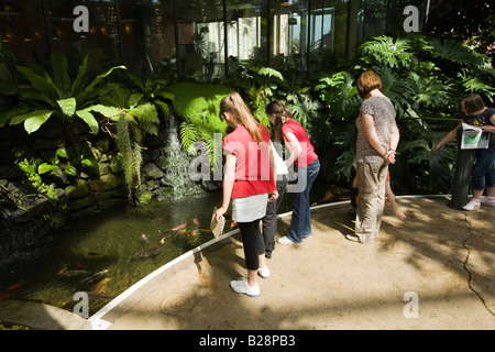 UK-Tyne und tragen Sunderland Mowbray Park Wintergärten junge Besucher im Gewächshaus Stockfoto