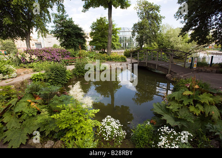 UK-Tyne und tragen Sunderland Mowbray Park Wintergärten über Teich und Holzbrücke Stockfoto