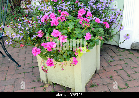 Land Blume Pflanzer auf der Stein-Terrasse Stockfoto