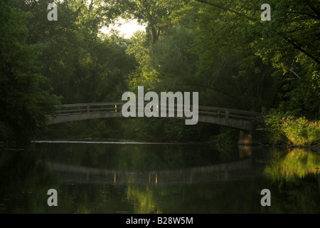 Morgenlicht bricht durch eine Überdachung von Grün und auf einer Brücke Stockfoto