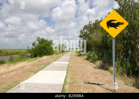 Alligator kreuzen unterschreiben auf dem Feuchtgebiet Gehweg an Sabine National Wildlife Refuge, Creole Naturlehrpfad, Louisiana Stockfoto