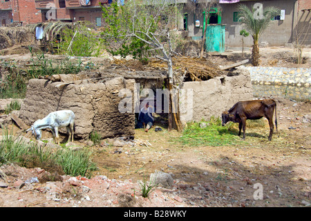 Die El-Fayoum-Landschaft, die das ländliche Leben in Ägypten Stockfoto