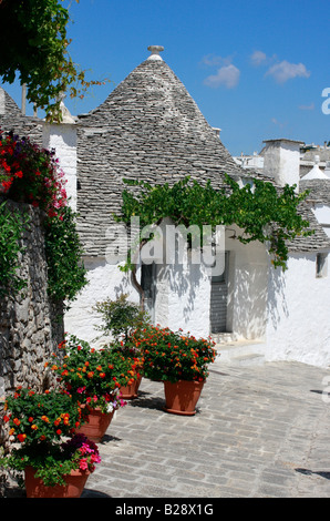 Die einzigartige Zone Trulli in Alberobello, Bari, Apulien, Italien ist ein UNESCO-Weltkulturerbe Stockfoto