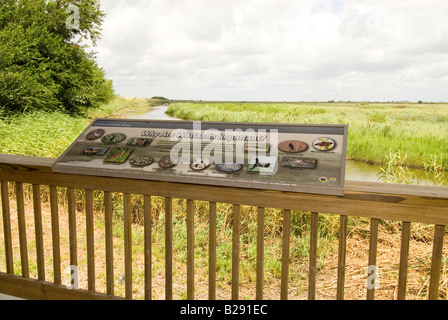 Feuchtgebiet Gehweg-Blick vom Wanderweg an Sabine National Wildlife Refuge, Creole Naturlehrpfad, Louisiana Stockfoto